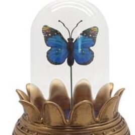 Symbolica Vlinder blauw