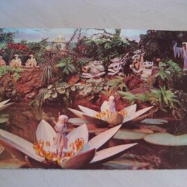Postkaart 1977