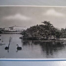 Postkaart