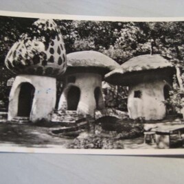 Postkaart 1959