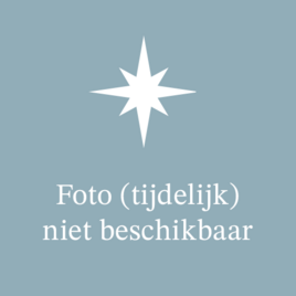 Stoomcarrousel 50 jaar