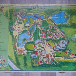 1981